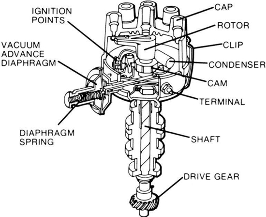 In this diagram, an older style distributor with points is shown assembled.