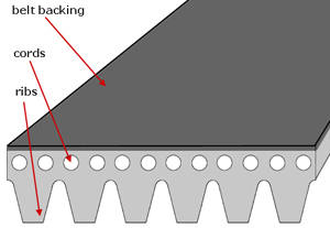 Because accessory drive belts are subject to constant rotation, load, and heat, they are constructed in a similar fashion as tires. An outer layer of rubber surrounds internal steel and cord reinforcements to minimize stretching and maximize strength when grip is needed under load. Like most exterior accessory belts, this one is equipped with parallel grooves on the underside of the belt surface.