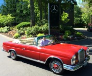 1965 mercedes 220se