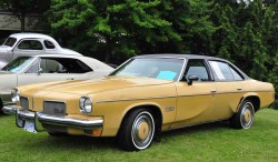 1973 Oldsmobile Cutlass Salon