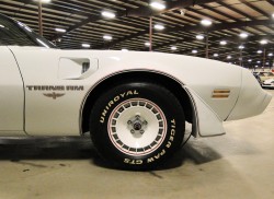 1980 pontiac trans am