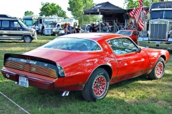 1981 pontiac firebird