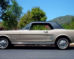 1964 Ford Mustang vinyl roof