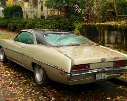 1971 Ford Torino vinyl roof