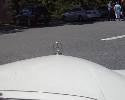 1965 Mercedes 190D hood view