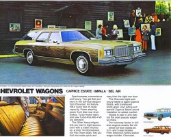 1974 Chevrolet Estate wagon ad