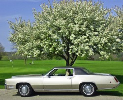 1969 cadillac eldorado