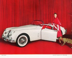 1959 jaguar ad