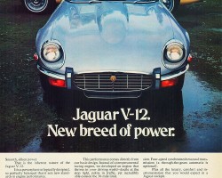 1973 jaguar ad