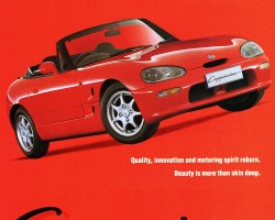 1994 suzuki ad