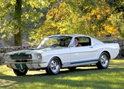 1965 ford mustang gt350