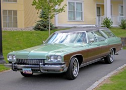 1973 buick estate wagon