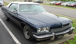 1973 buick electra
