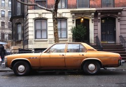 1978 buick skylark