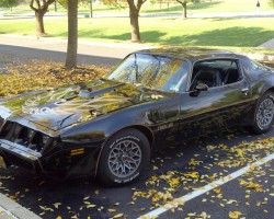 1980 Pontiac Trans Am