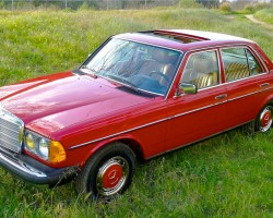 signal red 1983 Mercedes 240D