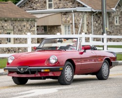 1988 alfa romeo spider