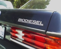 Mercedes 123 diesel biodiesel 300d 240d
