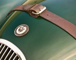 green jaguar xk120