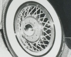 Panther wire wheel covers