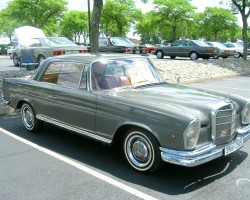 gray 1966 Mercedes 250SE