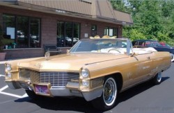 Elvis Dream Cadillac