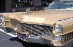 Elvis Dream Cadillac