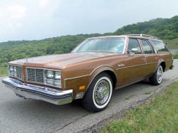 1979 oldsmobile custom cruiser