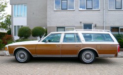 1979 Chevrolet Caprice wagon