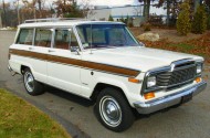 1979 jeep wagoneer